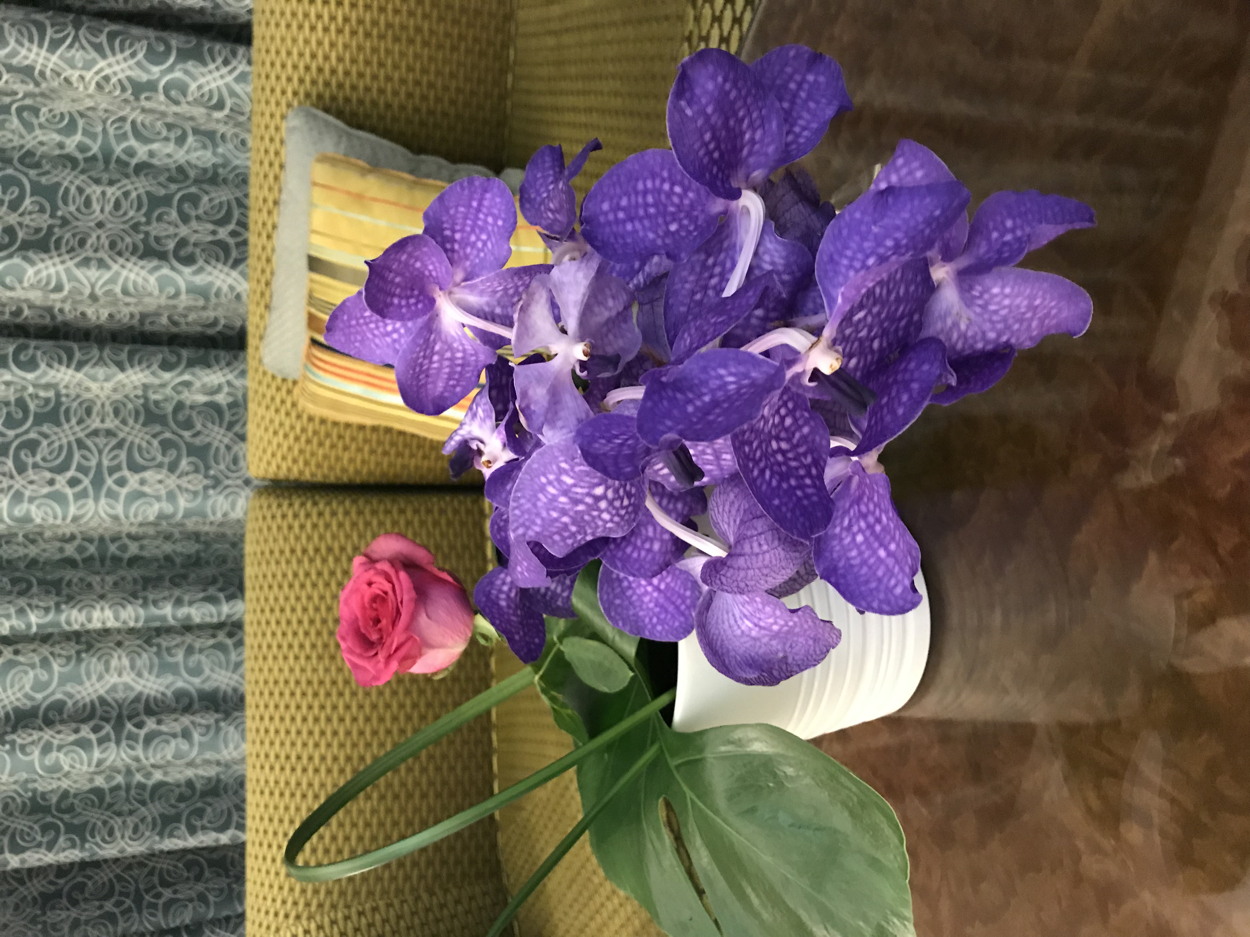 ./2018/16 - Egypt/03 - Pyramids/IMG_1088.jpg